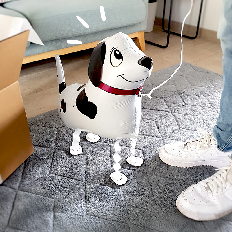 Ballon Helium Chien - The PopCase