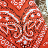 Box Surprise - All you need is love - BANDANA
