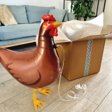 Ballon Cadeau - Poule aux oeufs d'Or - The PopCase