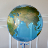 Ballon Bubble Earth - The PopCase