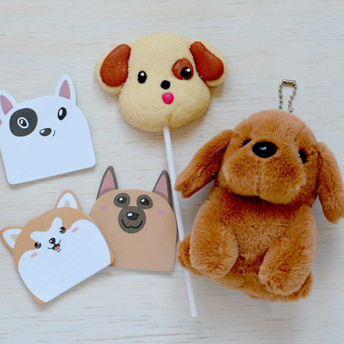 Box Surprise Chien - The PopCase