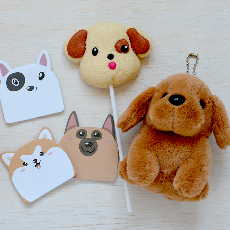 Box Surprise Chien - ouverte