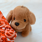 Box Surprise Chien - peluche