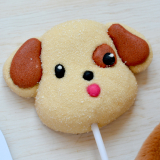 Box Surprise Chien - Sucette