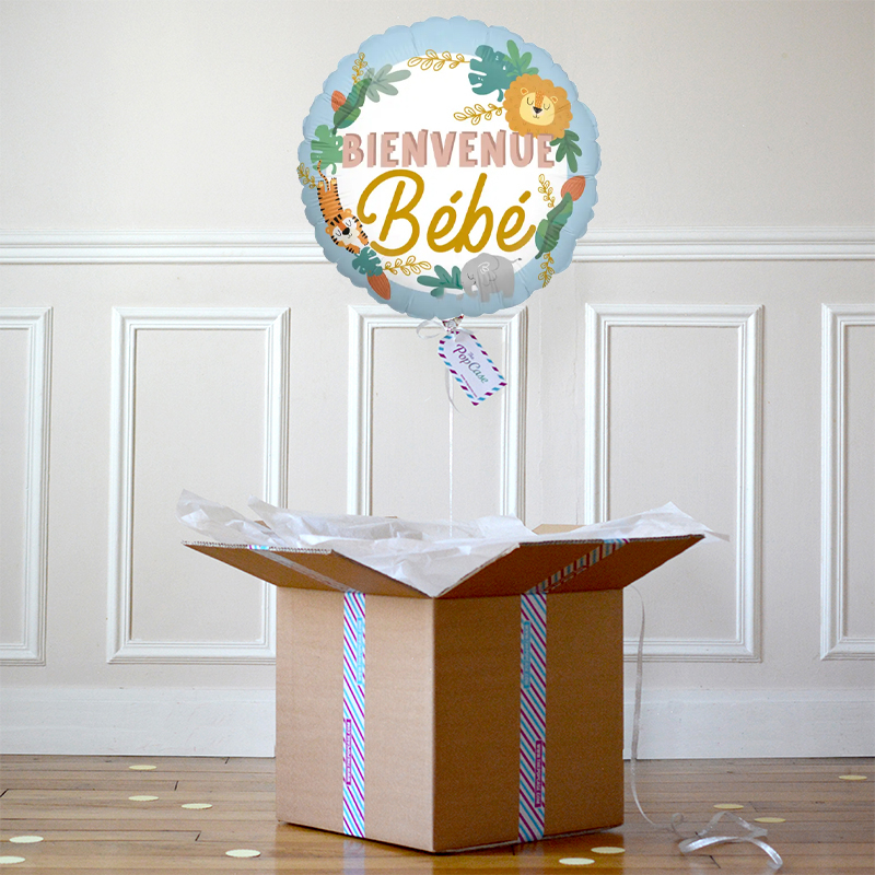 Ballon Cadeau - Bienvenue Bébé - The PopCase
