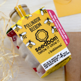 Box Surprise - Bee Happy - Bombe a graines