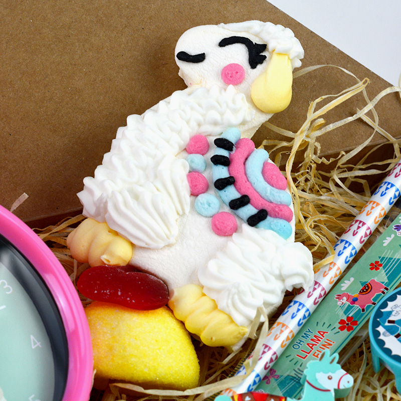 Box Surprise - Lama - sucette bonbon