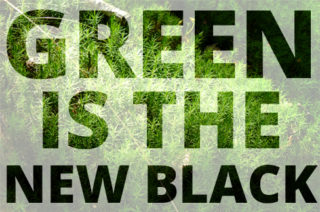Edito - Green is the new Black - The PopCase