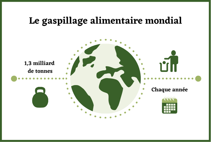 Infographie sur le gaspillage alimentaire mondial